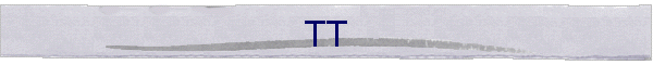 TT